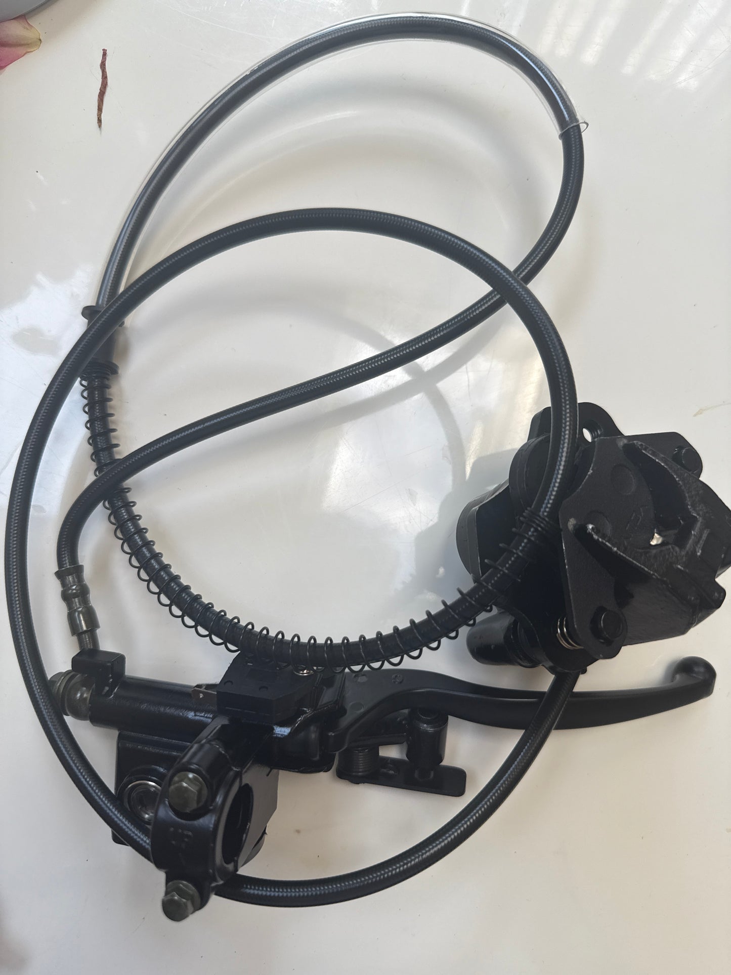 Upgraded Tuttio Rear Brakes(use code tuttio)